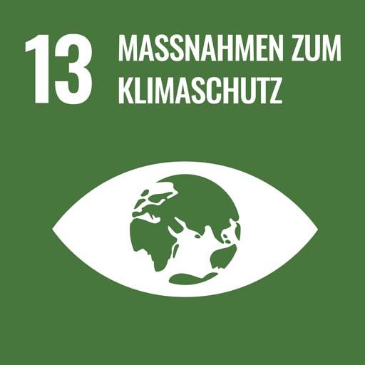 SDG 13 - Climate Action