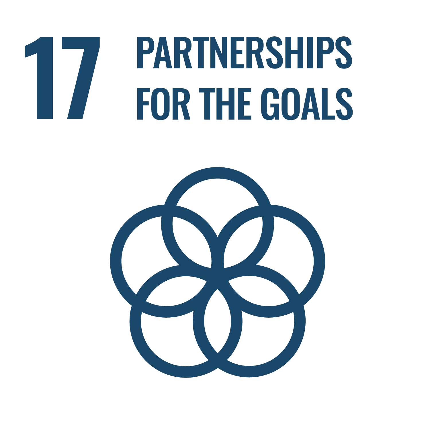 17 - Partnerships for the Goals