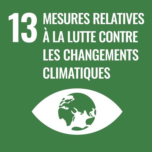 SDG 13 - Climate Action