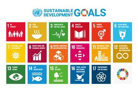 2018 - SDGs Award Winners