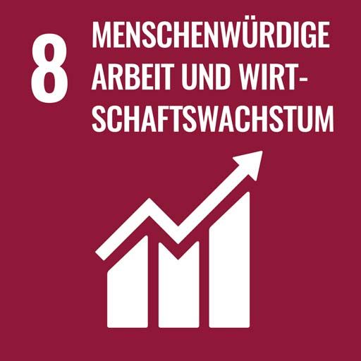 SDG 8 - Decent Work and Economic Growth